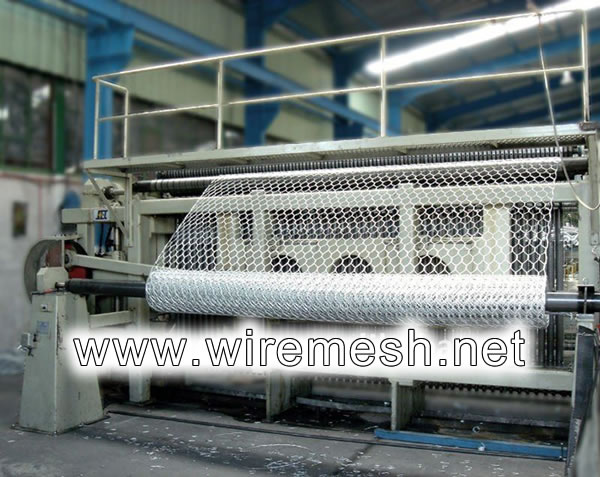 Hexagonal Mesh used for Poultry Wire, Machine Weaving Processing