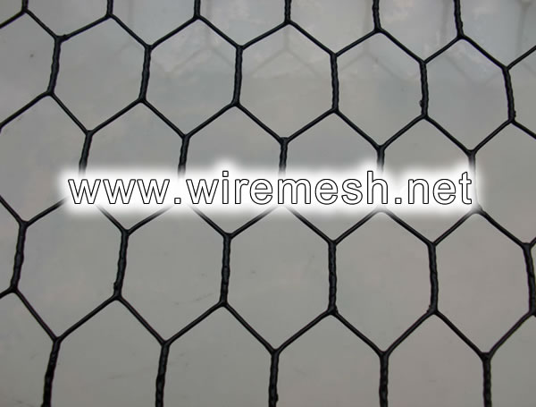 Galvanized Chicken Wire, Green / Black Coated Chicken Wire