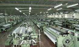 Wire Mesh Looms
